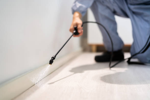Licensed Pest Control service in Delhi, LA - Show Me Pest Control