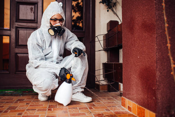Reliable Wasp Removal contractor in Delhi, LA by Show Me Pest Control
